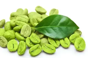 What is the use of green coffee powder?